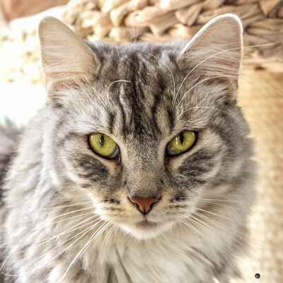 Stage Réussir ses photos à Morlaix. Le stage de référence !